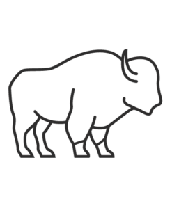 Alternative view of Bison Portion Cuts